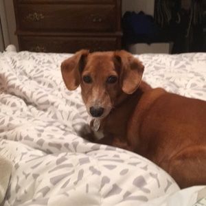 Meet your Posher, Scott